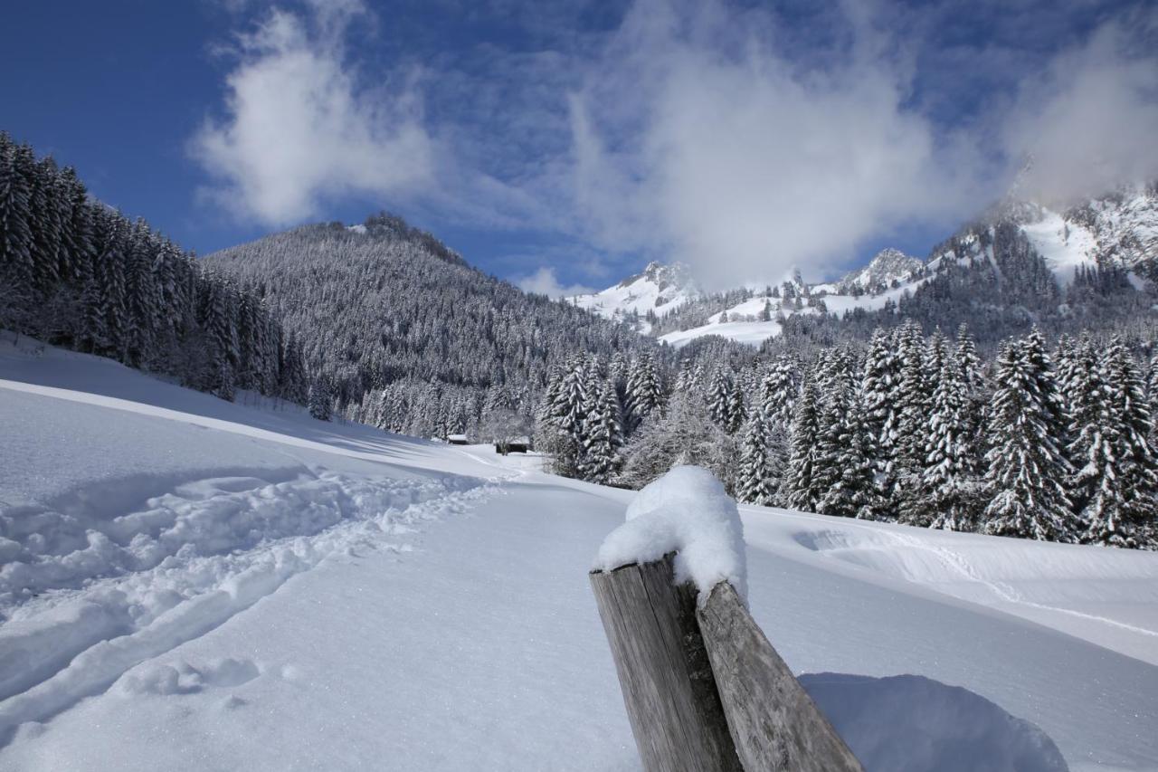 Heerlijke Wandel Of Ski Vakantie In Torgon Portes Du Soleil Exteriör bild