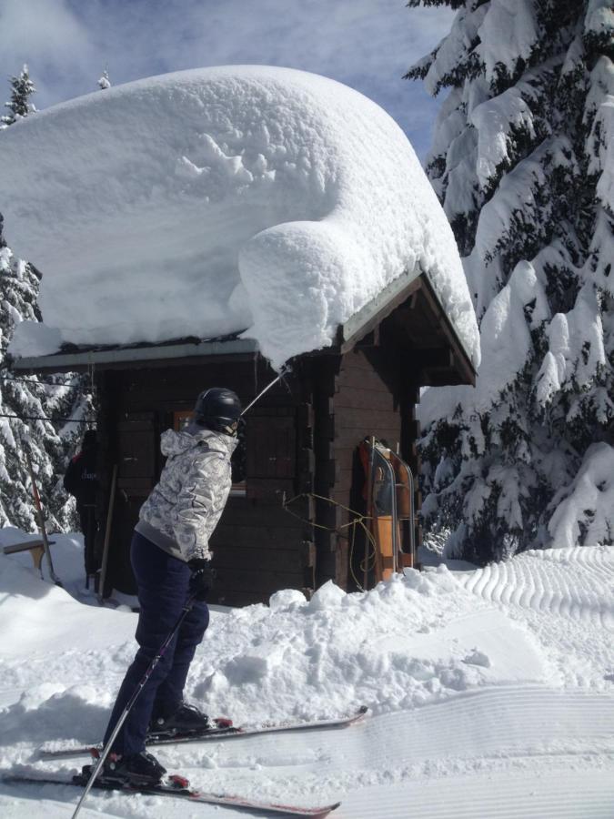 Heerlijke Wandel Of Ski Vakantie In Torgon Portes Du Soleil Exteriör bild
